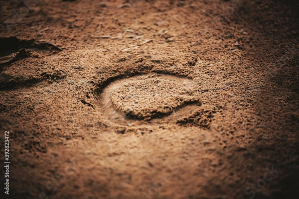Fototapeta A horseshoe, worn on the hoof of a horse that ran through this area, was imprinted on the sand in the light.  Outdoor riding arena.