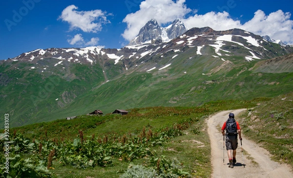 Fototapeta Hiker on trail to Koruldi Lakes in Caucasus Mountains of Georgia near Mestia. Mt Ushba at 4710 metres watches is seen in the distance.