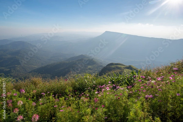 Fototapeta The top corner of Phu Tub Berk on the top of the mountain overlooking Khao Kho and beautiful scenery.