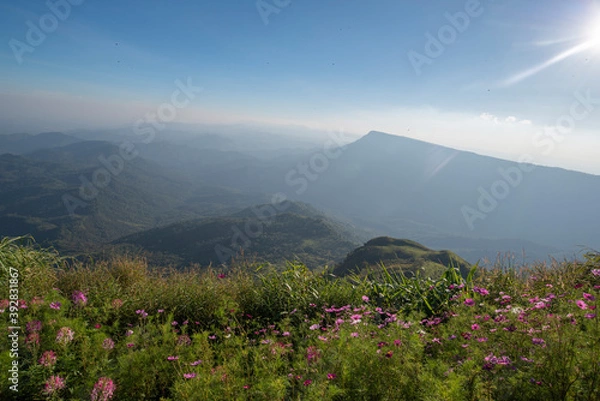 Fototapeta The top corner of Phu Tub Berk on the top of the mountain overlooking Khao Kho and beautiful scenery.