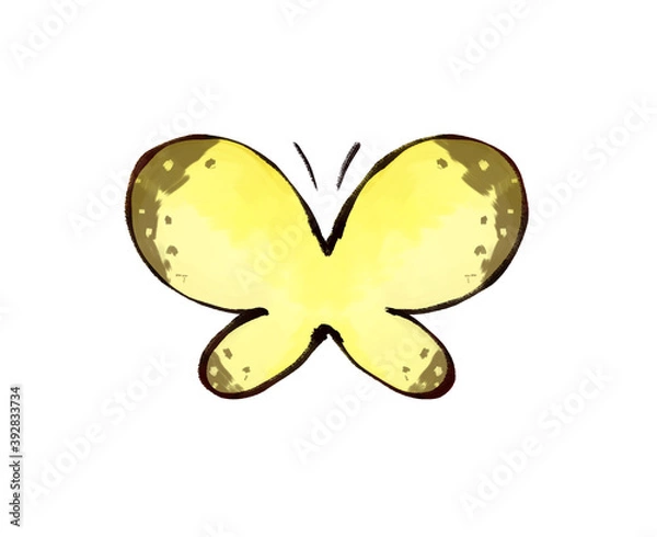 Obraz 黄色い蝶　モンキチョウ/紋黄蝶