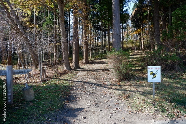 Obraz 下田公園キャンプ場への道