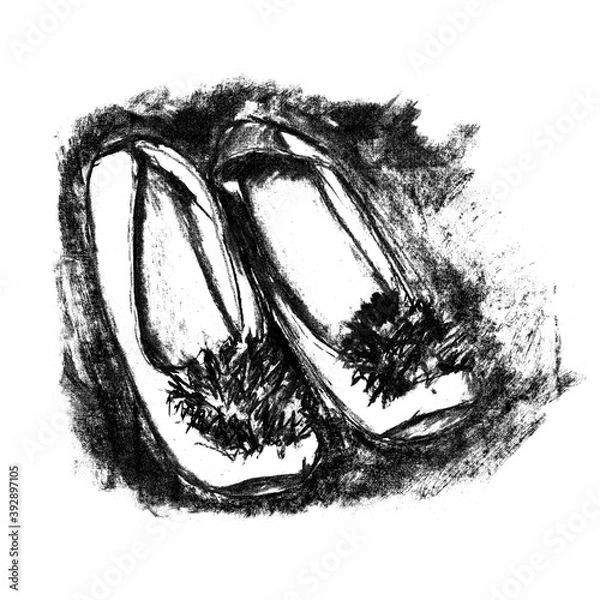Obraz women's white house Slippers, flats with black pompom, black and white illustration, hand drawn charcoal sketch 
