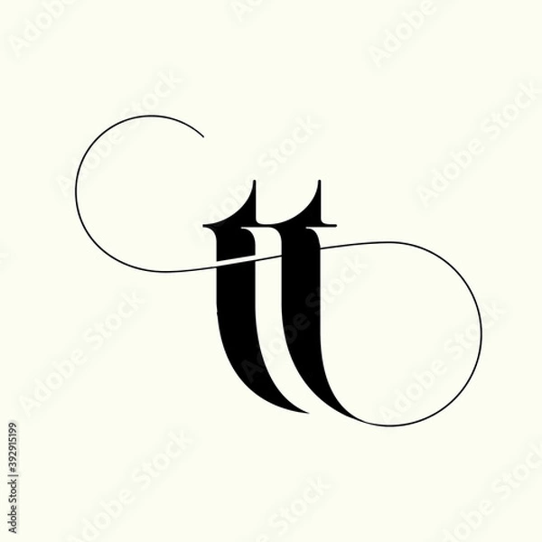 Fototapeta TT logo monogram.Typographic icon with double letter t. Lowercase lettering with decorative swirl. Alphabet initials sign isolated on light background. Modern, clean, luxury style.