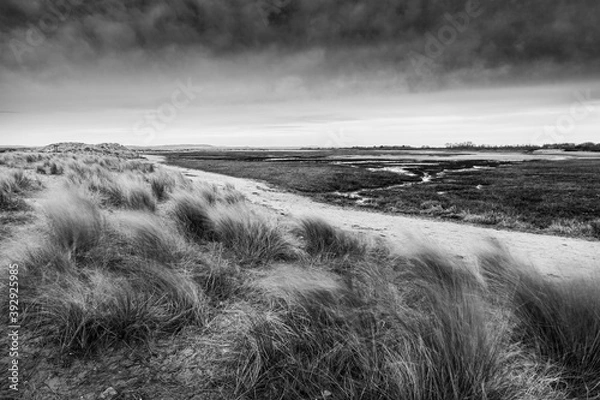 Obraz East Head near West Wittering Beach in black and white with windswept grass and a dark moody sky