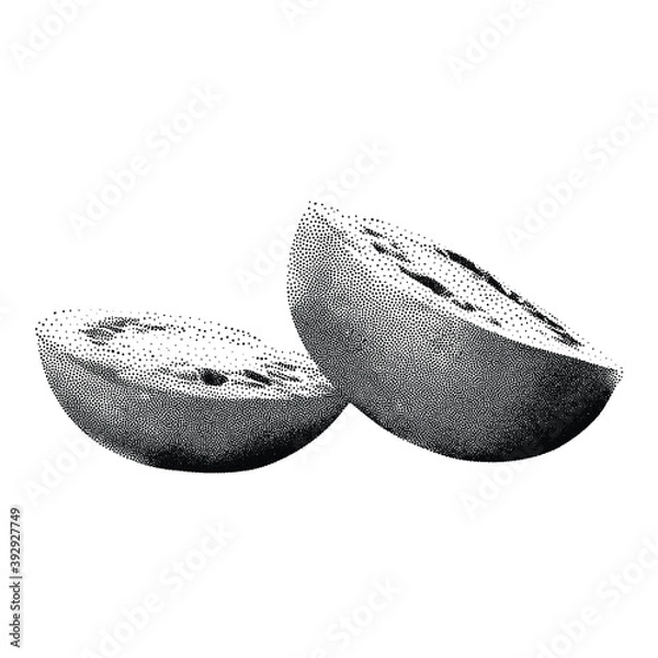 Obraz Tomato half vector in dotted monochrome and minimalist style. Typical ingredient for Italian kitchen. Isolated on white background