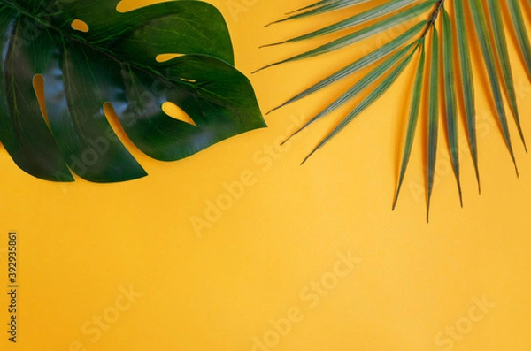 Obraz Tropical monstera leaves and palm trees on a yellow background. The view from the top, place for text, horizontal position. Layout for design