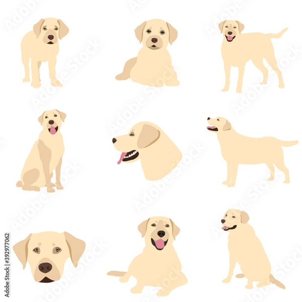 Fototapeta Vector image. The illustration shows dogs in different breeds are hand-drawn. Suitable for coloring pages, pet shop or pet lovers.