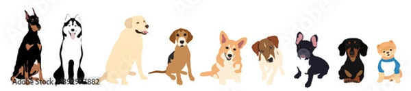 Fototapeta Vector image. The picture shows how dogs are drawn by hand with a seated pose of different breeds, such as Labrador Retriever, Pomeranian, Doberman, Corgi, Beagle, Jack Russell, French Bulldog, Husky.