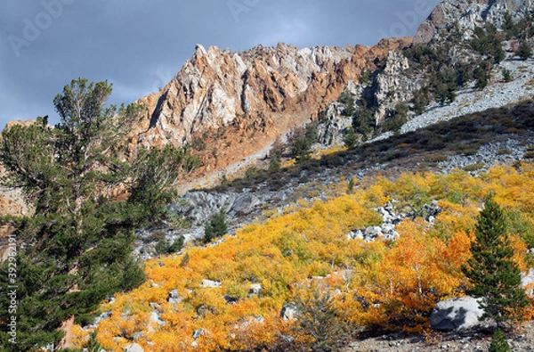 Obraz A southern slope of Bishop Creek canyon in fall glory.