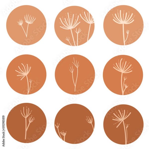 Fototapeta Dried flowers in circles highlight cover icon, natural warm colors. Vector illustration for web design, social media, Insta story.