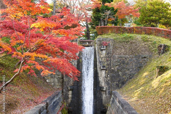 Obraz 福島県郡山市・紅葉と麓山の滝