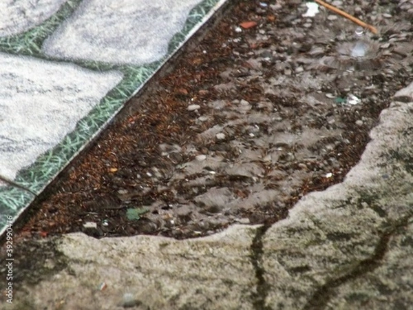 Obraz rain in the floor 