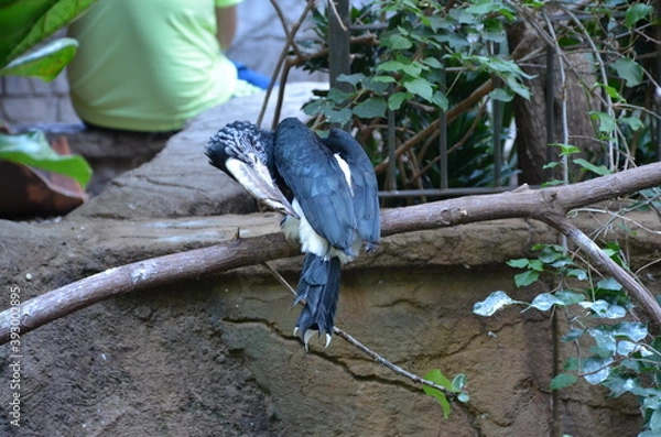 Obraz Tourist memories