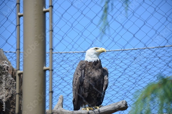 Obraz Tourist memories