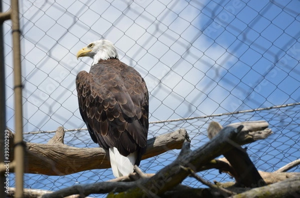 Obraz Tourist memories