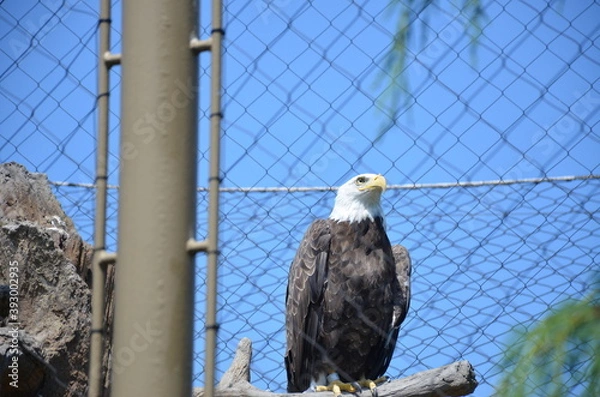 Obraz Tourist memories