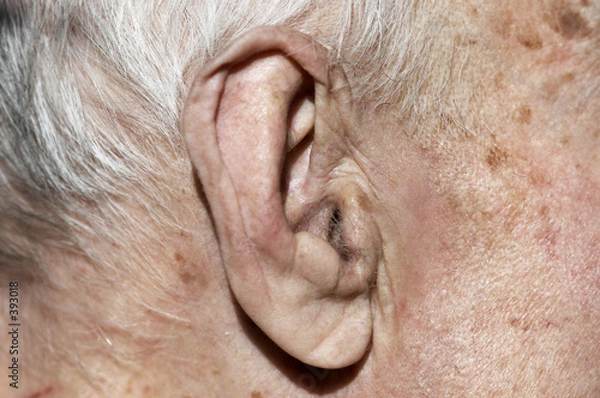 Obraz old  ear in macro