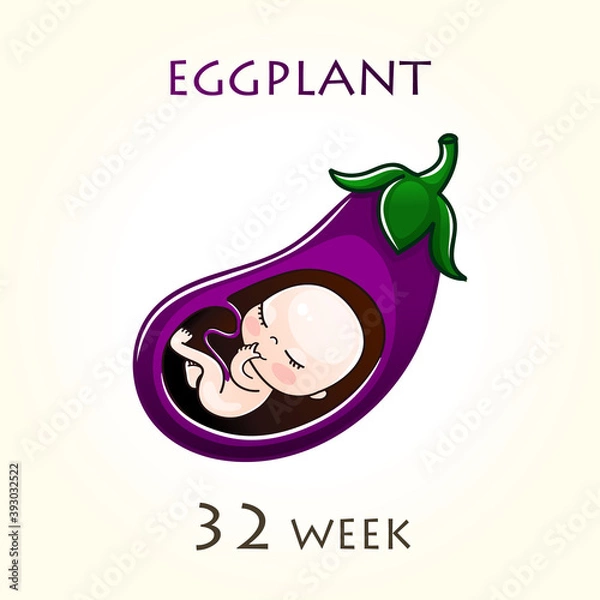 Fototapeta Stages of development of pregnancy, the size of the embryo for weeks. Human fetus inside the uterus. 32 week of 42 weeks of pregnancy. Vector illustrations eggplant
