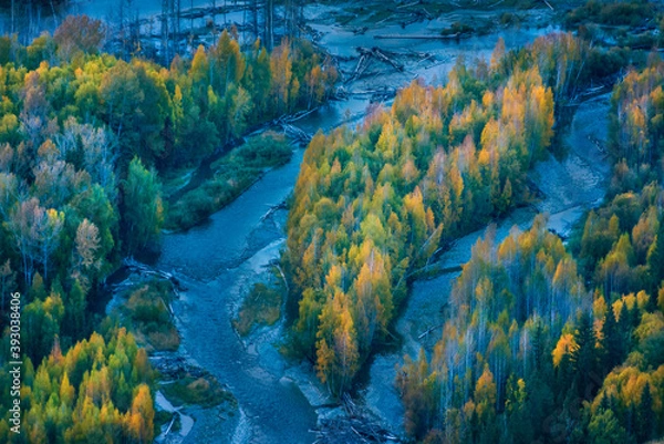 Obraz 中国新疆喀纳斯白哈巴村秋天风光