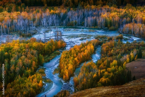 Obraz 中国新疆喀纳斯白哈巴村秋天风光