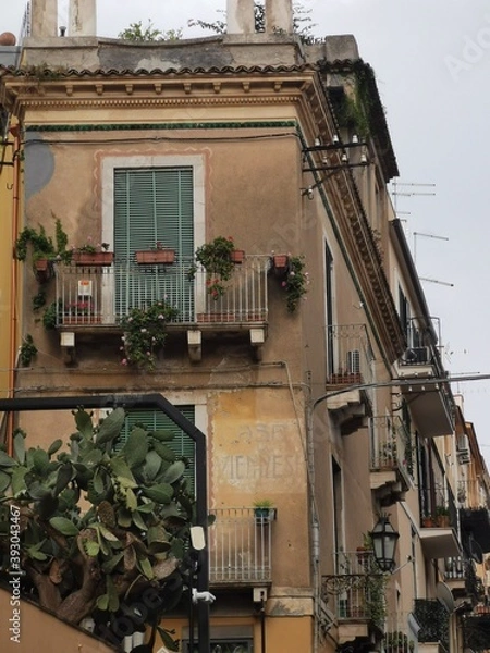 Obraz facade of a house