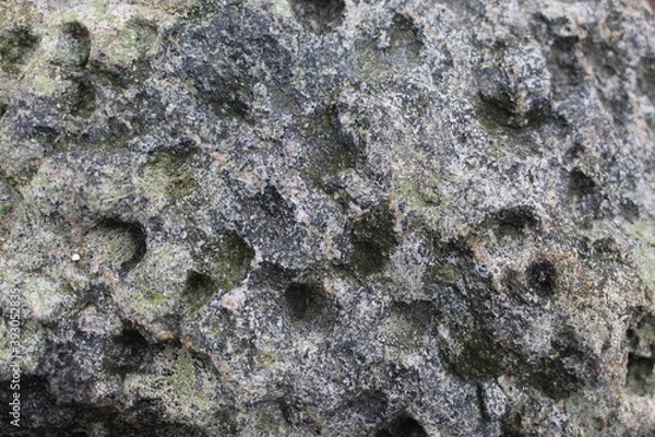 Obraz lichen on stone