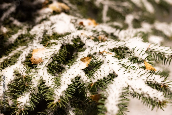 Fototapeta The first snow fell to the ground