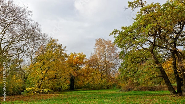 Obraz Bois de Vincennes during fall season