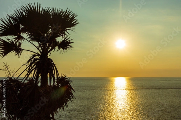 Obraz palm tree shadow at sunset time