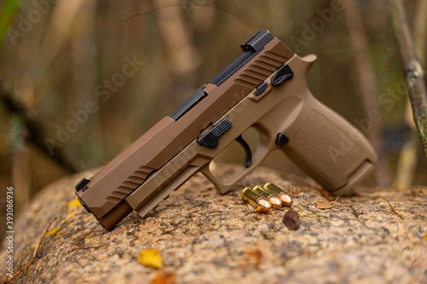 Obraz Gun and ammunition