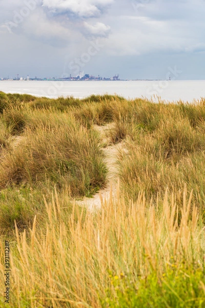 Fototapeta A sandy path through dune vegetation points to a port and its pollution under a cloudy sky.