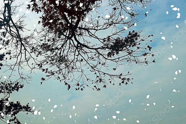 Fototapeta 겨울나무잎