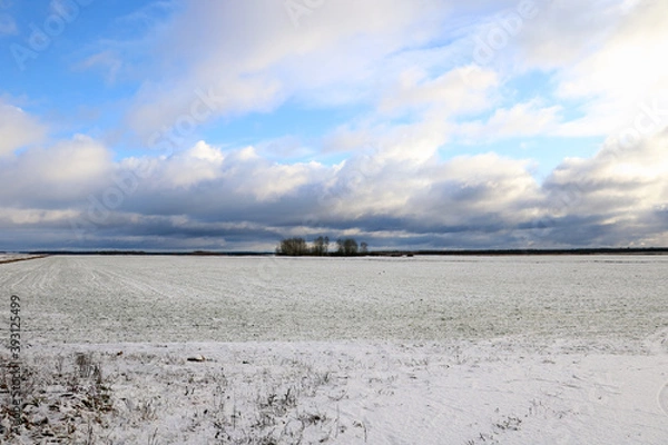 Fototapeta View of a winter field on a clear day.