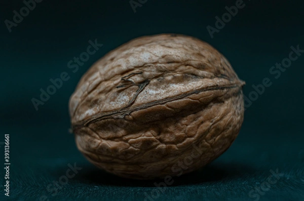 Obraz walnut on black background
