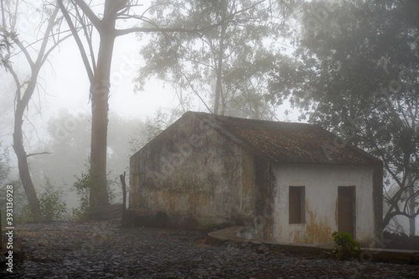 Fototapeta House in the clouds