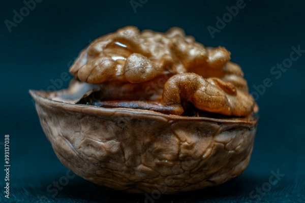 Obraz walnut on black background