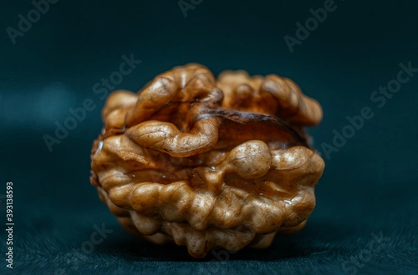 Obraz walnut on black background