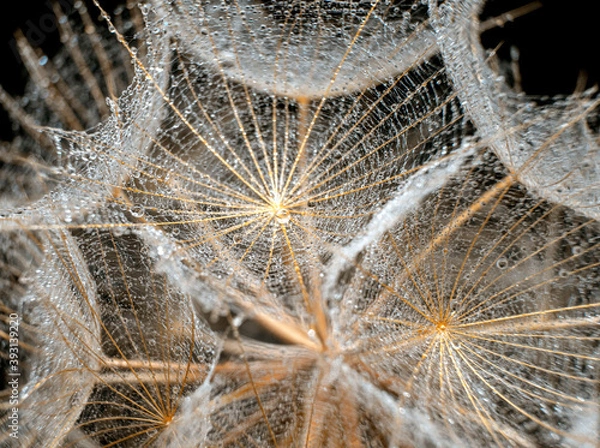 Obraz crystals macro