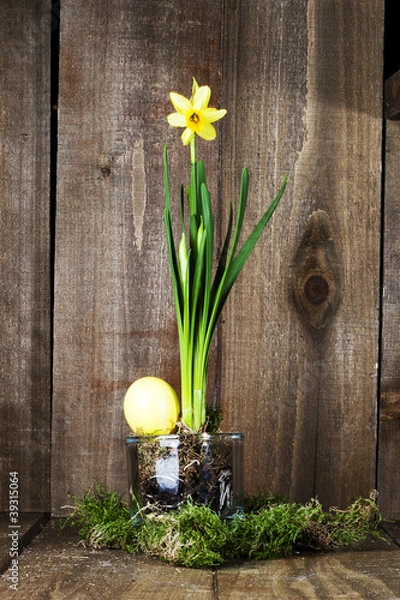 Obraz Osterglocke mit Ei