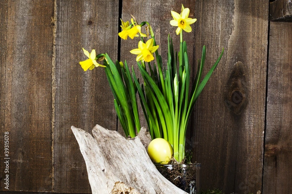 Obraz Osterglocken mit Ei