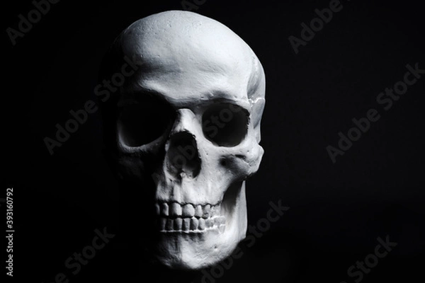 Obraz white skull on black background 