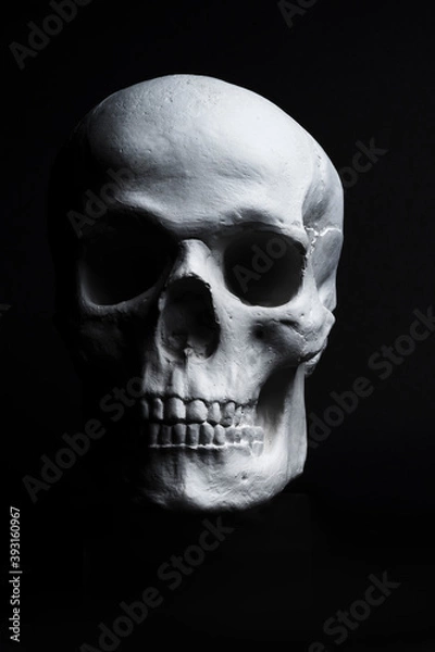 Obraz white skull on black background 