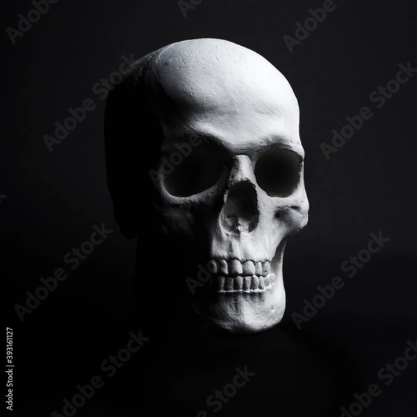 Obraz white skull on black background 