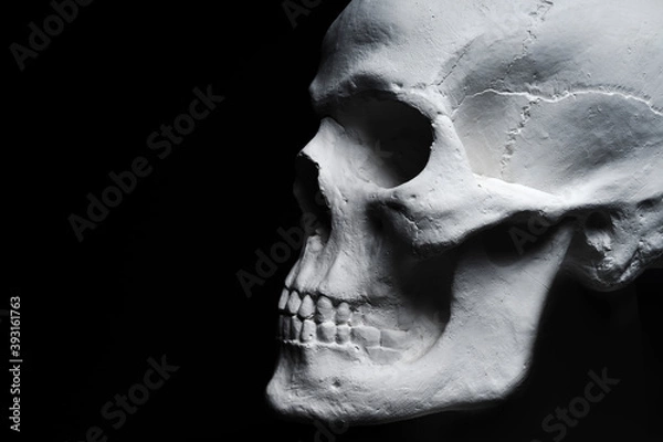 Obraz white skull on black background 