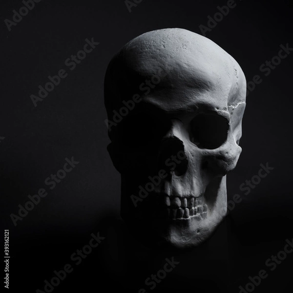 Obraz white skull on black background 