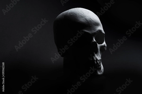 Obraz white skull on black background 