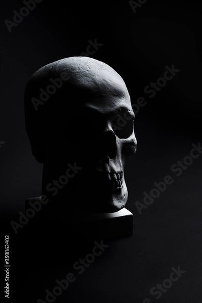 Obraz white skull on black background 