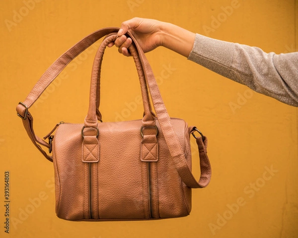Fototapeta handbag