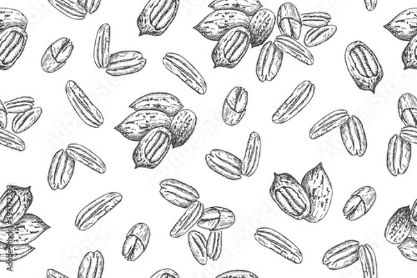 Obraz Seamless pattern with pecan nuts. Line art style.